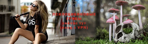 тгк Баксан