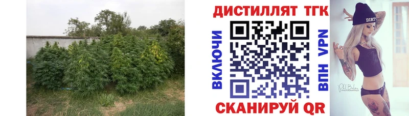 ТГК концентрат  Заречный 