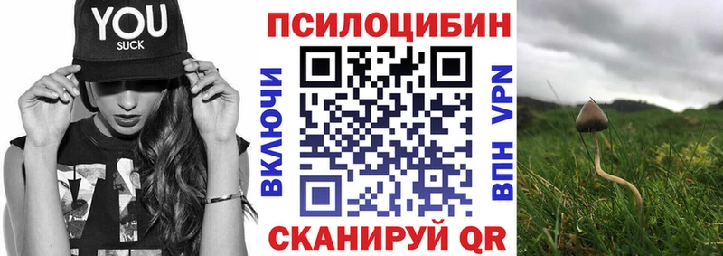 Псилоцибиновые грибы прущие грибы  Заречный 